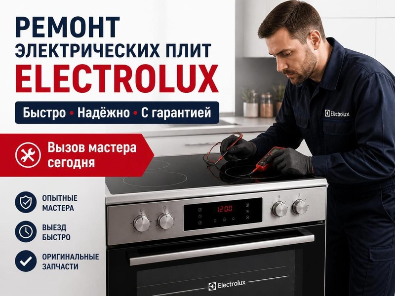 Ремонт электрических плит Electrolux — Павел, фото