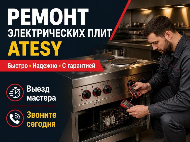 Ремонт электрических плит ATESY — Константин, фото