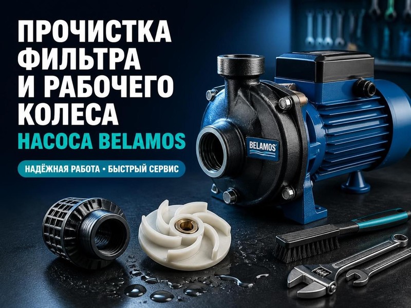 Прочистка фильтра и рабочего колеса насоса Belamos — Сергей, фото