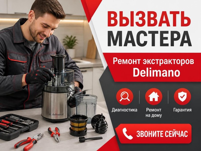 Вызвать мастера по ремонту экстракторов Delimano — Андрей, фото