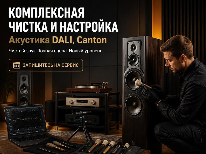 Комплексная чистка и настройка акустики DALI, Canton