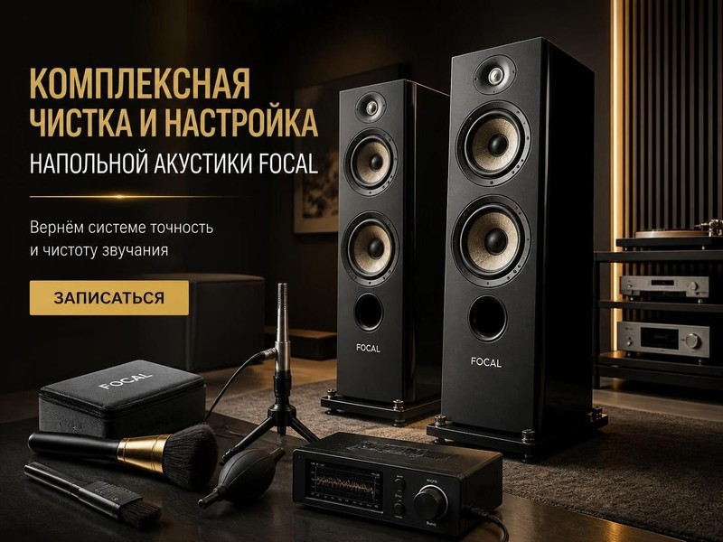 Комплексная чистка и настройка напольной акустики Focal