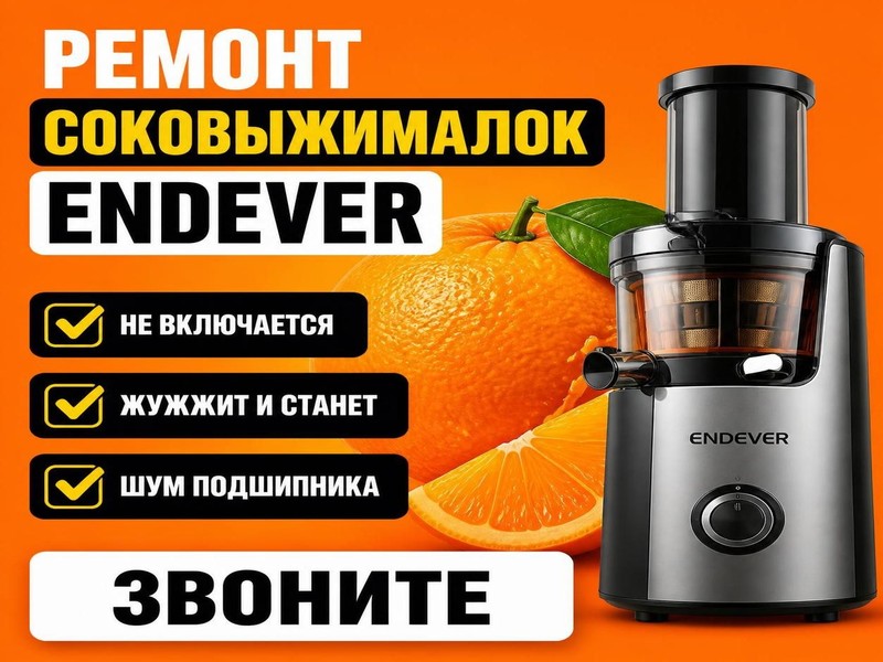 Ремонт соковыжималок ENDEVER