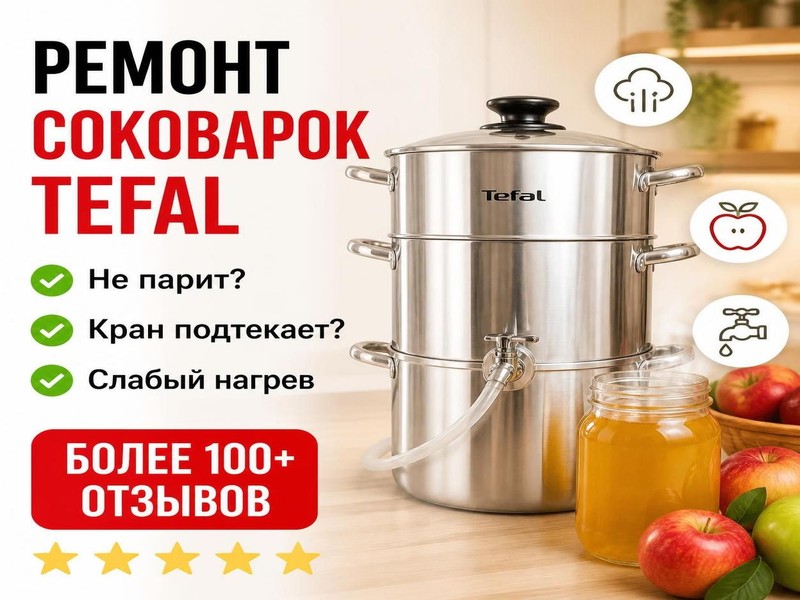 Ремонт соковарок TEFAL