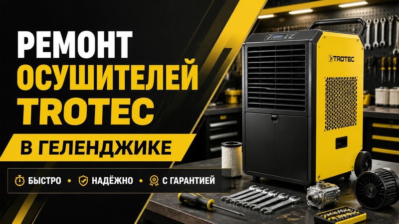 Ремонт осушителей Trotec