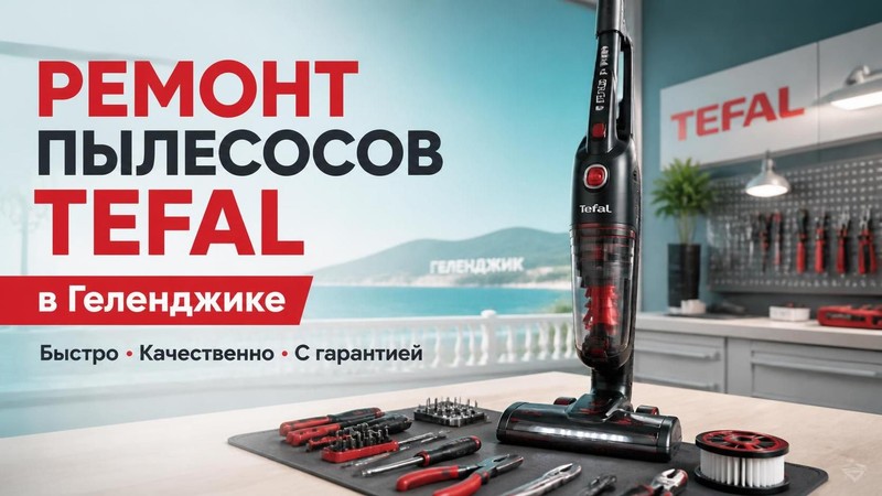 Ремонт пылесосов TEFAL