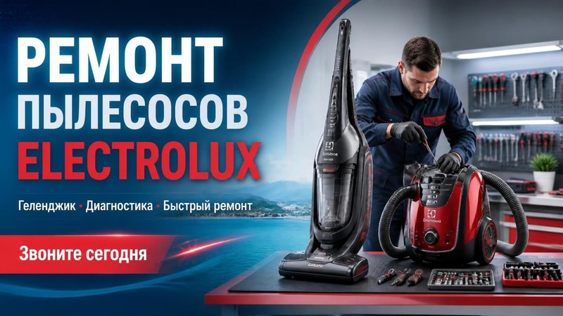 Ремонт пылесосов Electrolux