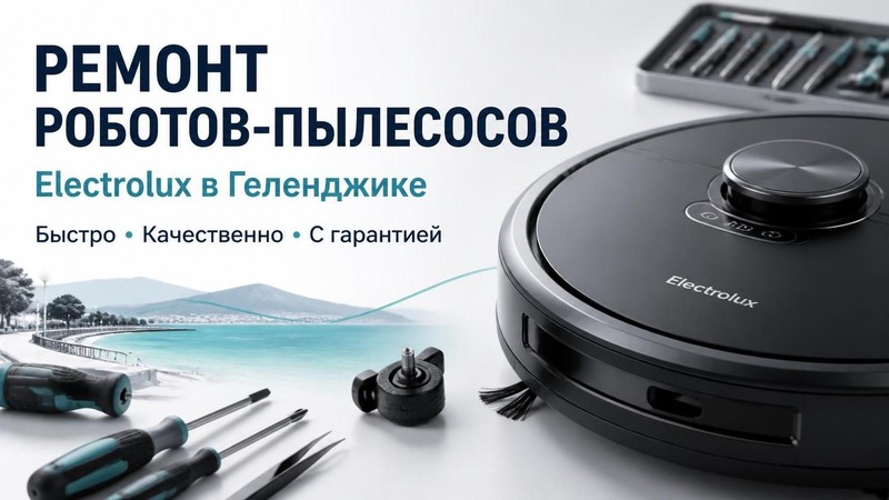 Ремонт роботов-пылесосов Electrolux — Андрей, фото