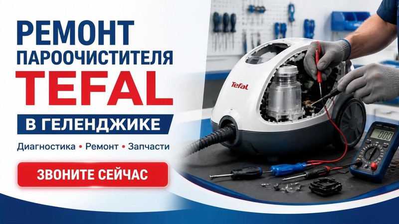Ремонт пароочистителя TEFAL