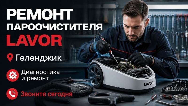 Ремонт пароочистителя LAVOR