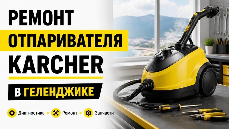 Ремонт отпаривателя KARCHER