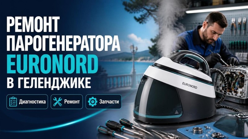 Ремонт парогенератора EURONORD