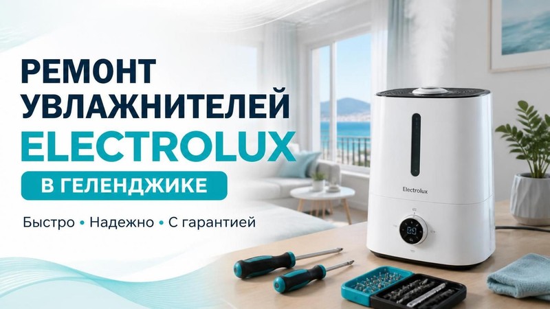Ремонт увлажнителей Electrolux